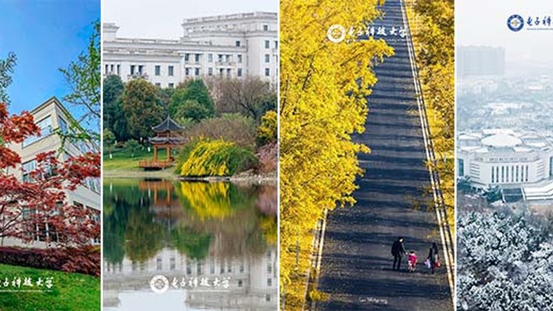 上海电子加工价格差异解析：揭秘影响成本的关键因素