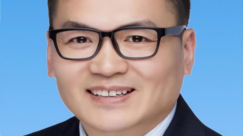 芯片批发报价平台：揭秘价格查询背后的逻辑